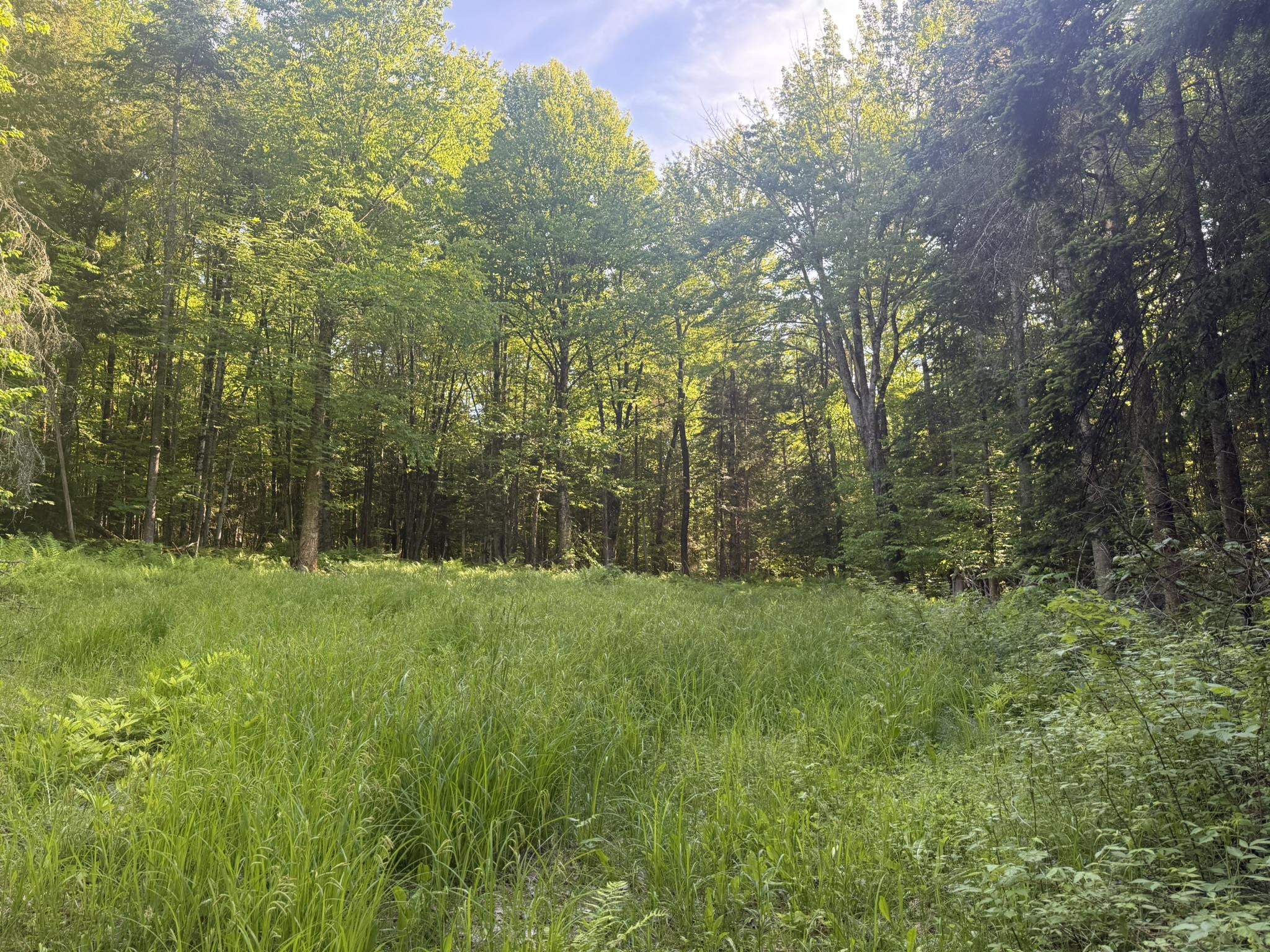 0 Roaring Brook Road Property Photo 16