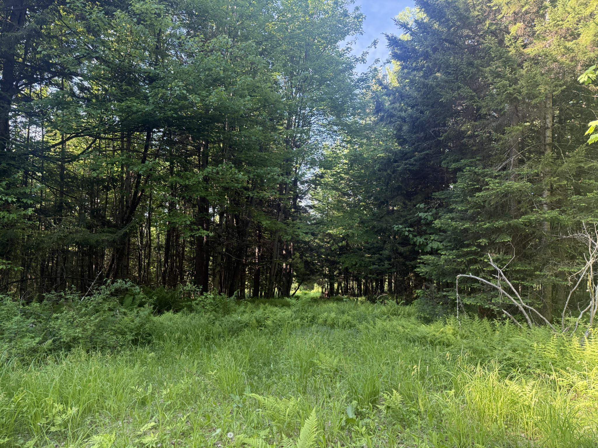 0 Roaring Brook Road Property Photo 17