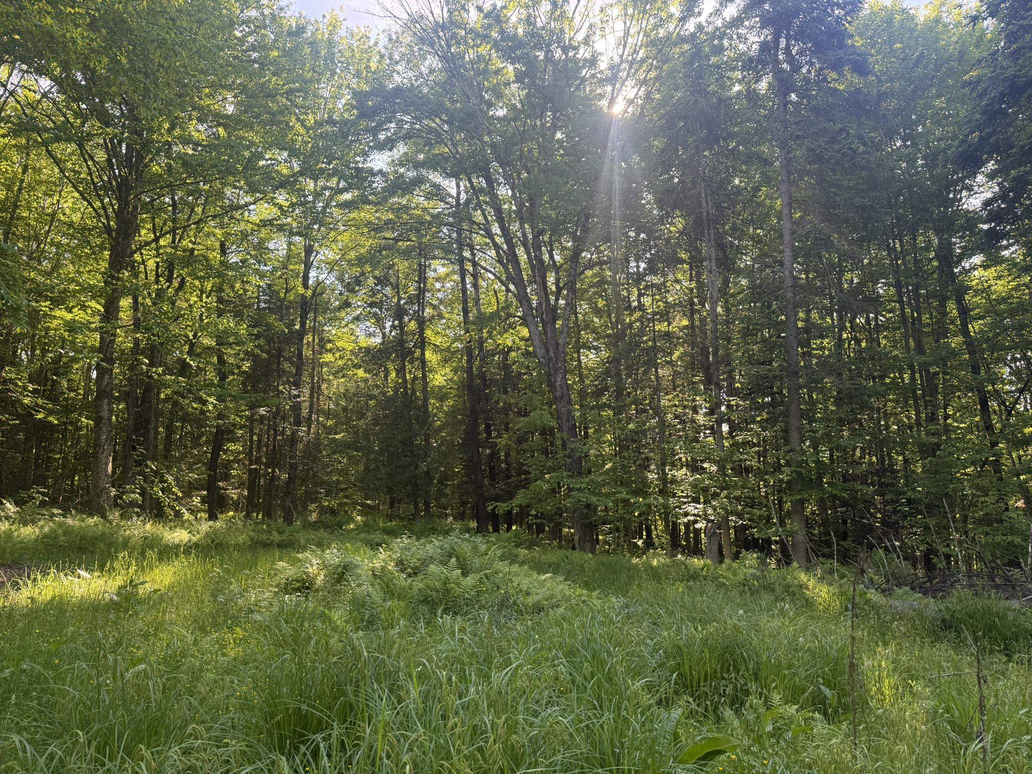 0 Roaring Brook Road Property Photo 18