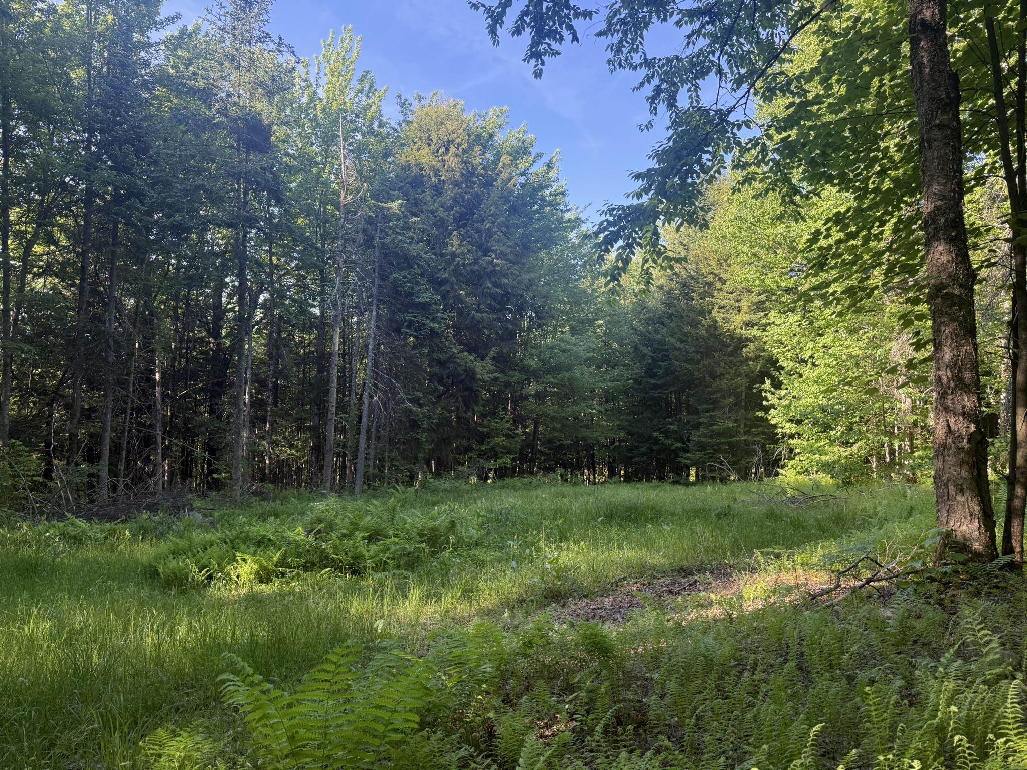 0 Roaring Brook Road Property Photo 21
