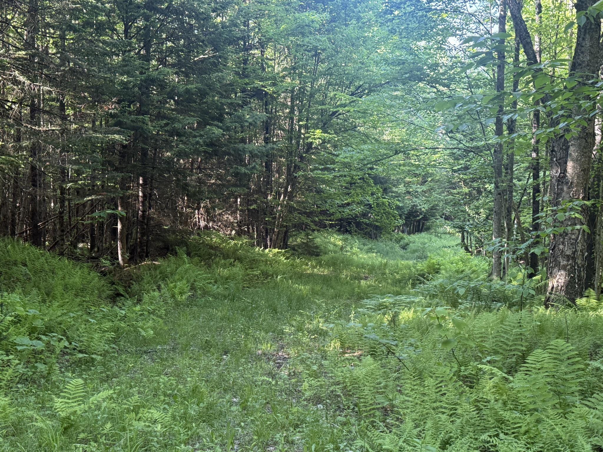 0 Roaring Brook Road Property Photo 22