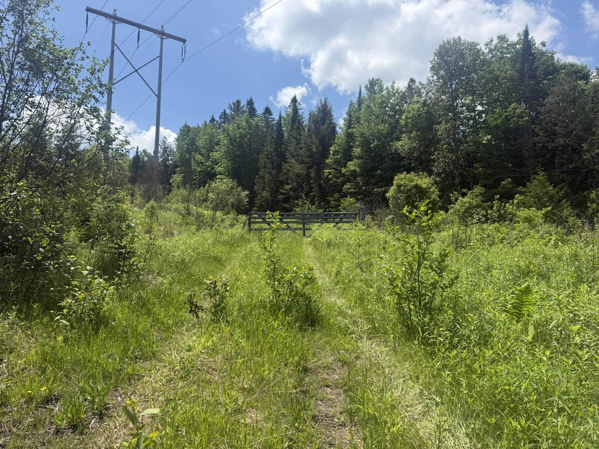 0 Roaring Brook Road Property Photo 24