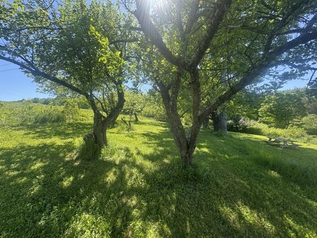 3491 County Road Property Photo 30