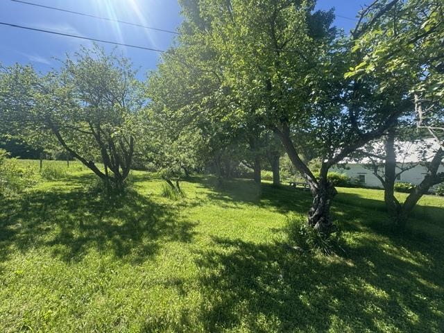 3491 County Road Property Photo 31