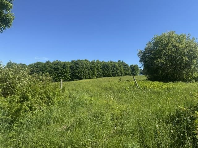 3491 County Road Property Photo 38