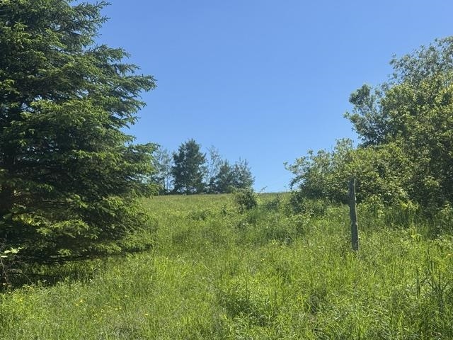 3491 County Road Property Photo 44