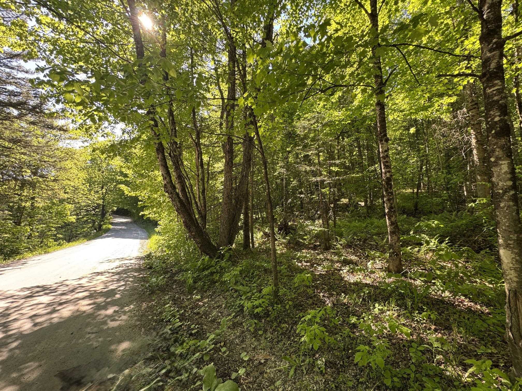 2800 Dugar Brook Road Property Photo 1