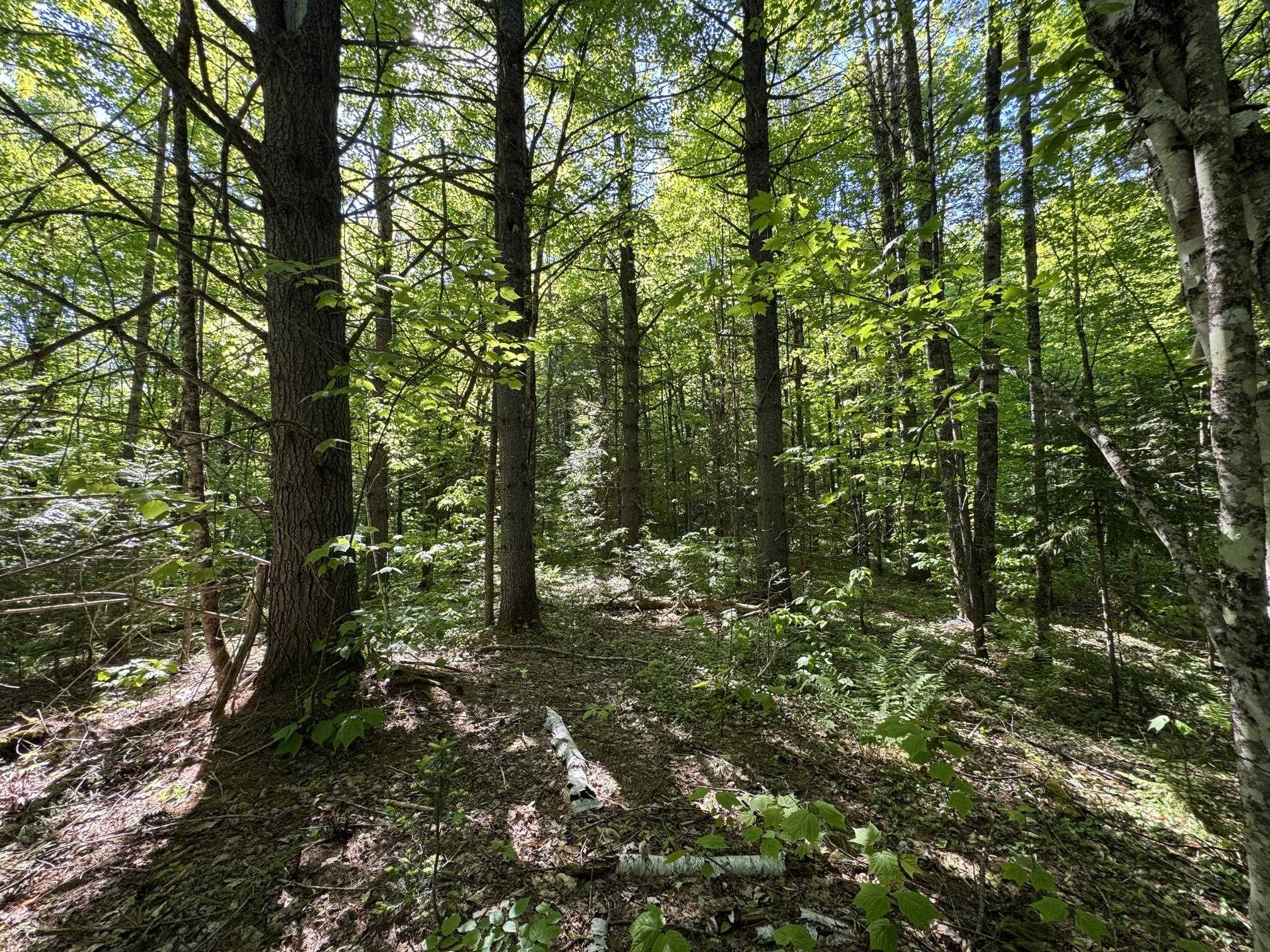2800 Dugar Brook Road Property Photo 4