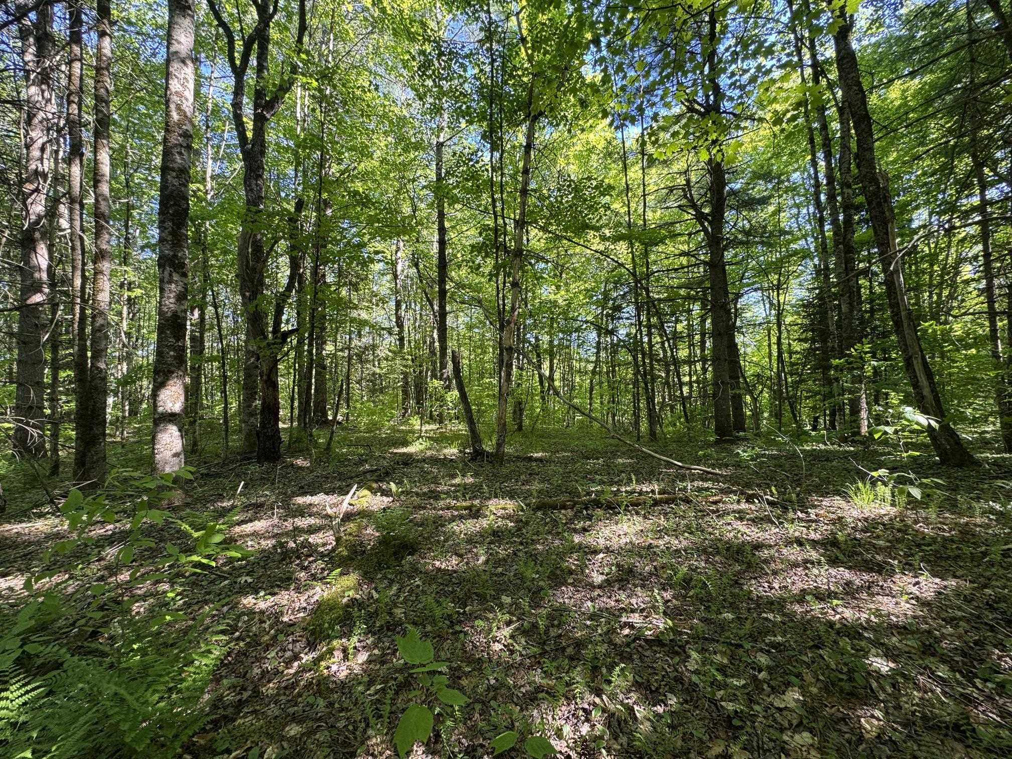 2800 Dugar Brook Road Property Photo 6