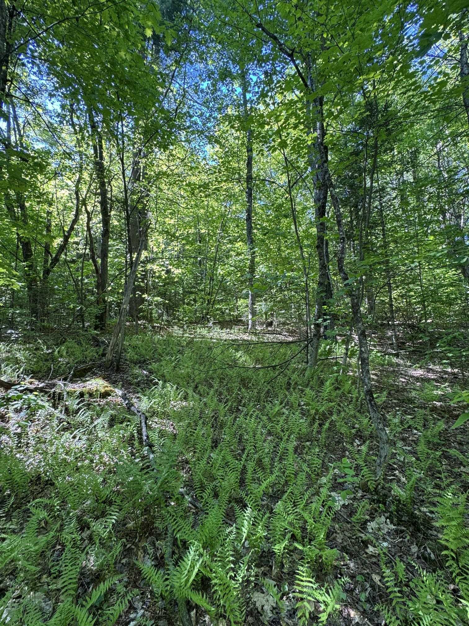 2800 Dugar Brook Road Property Photo 7