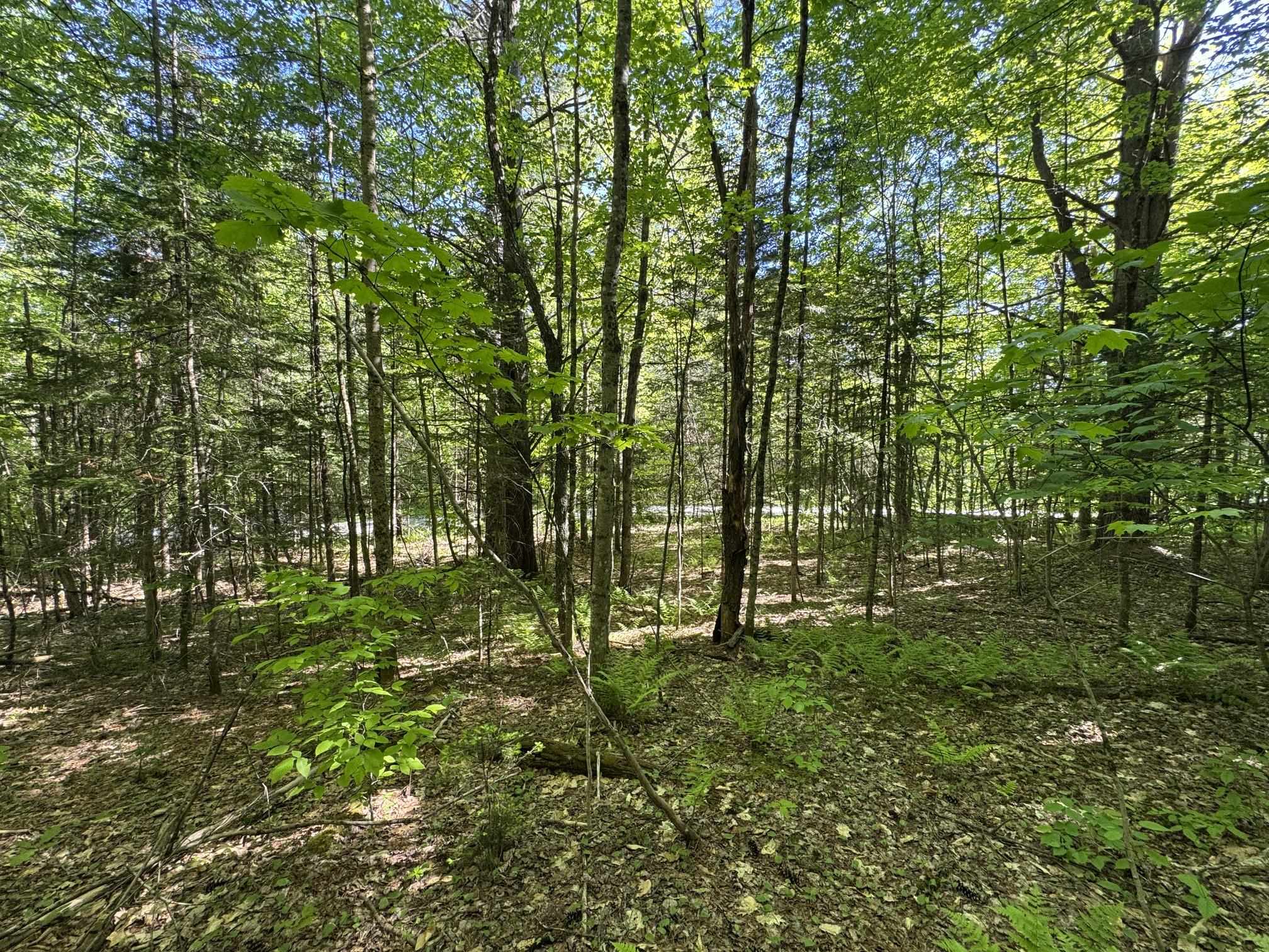 2800 Dugar Brook Road Property Photo 8