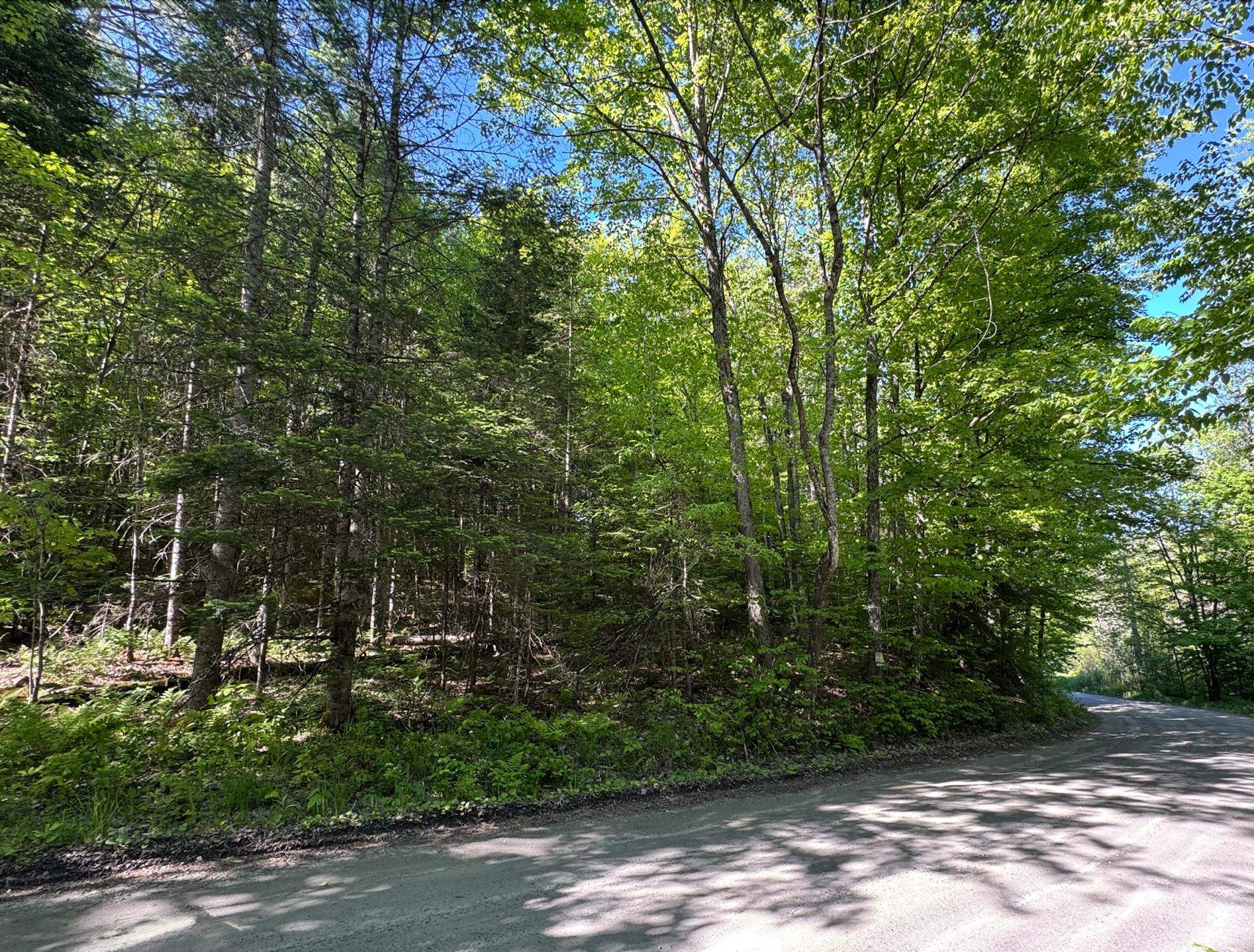 2800 Dugar Brook Road Property Photo 10