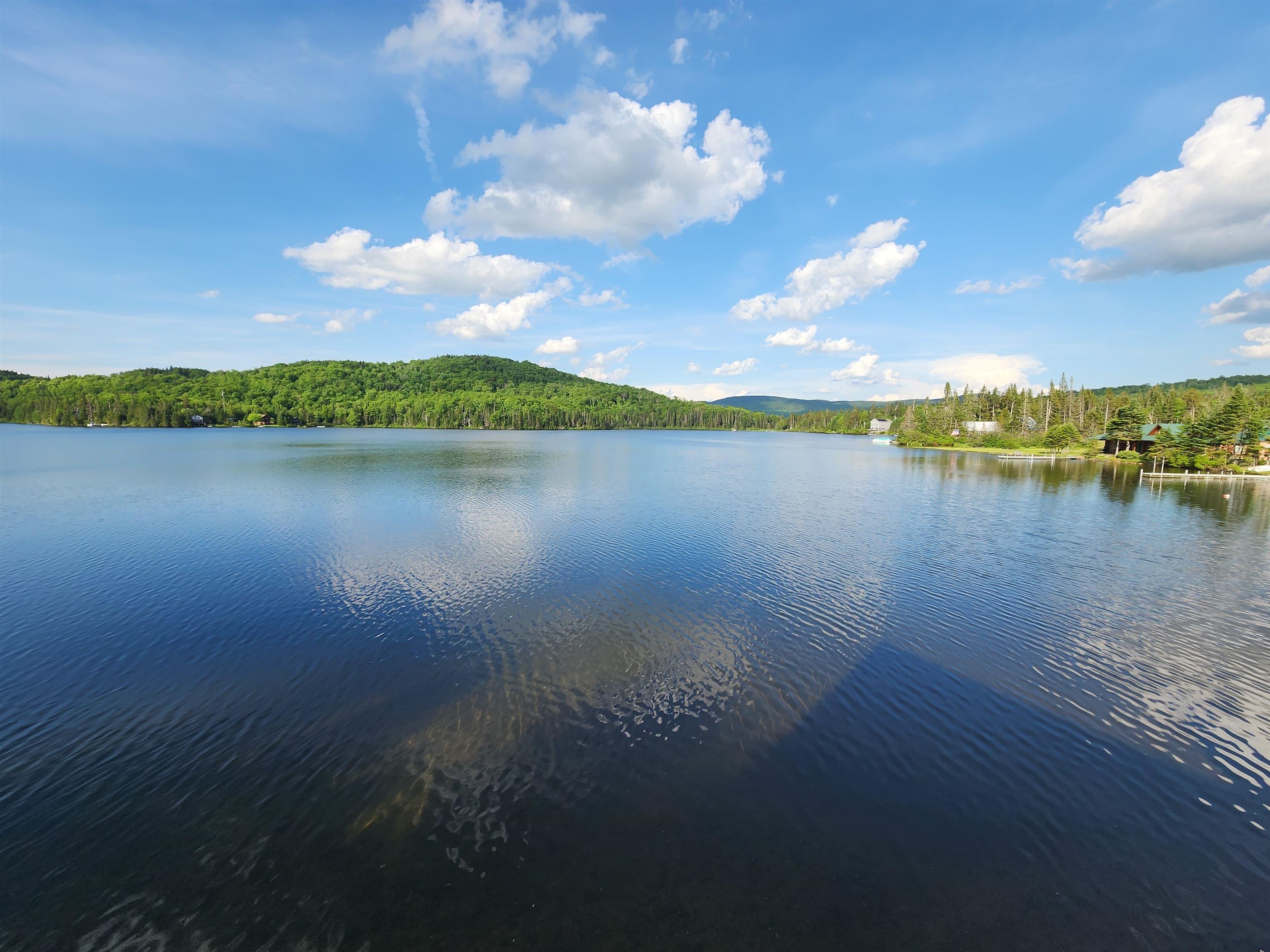 1467 Diamond Pond Road Property Photo 10