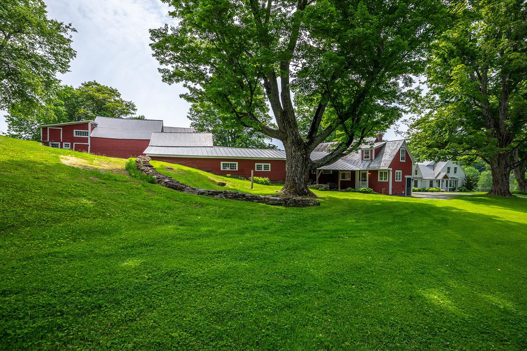 5798 South Road Property Photo 16