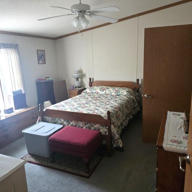 30 Hollow View Drive Property Photo 6