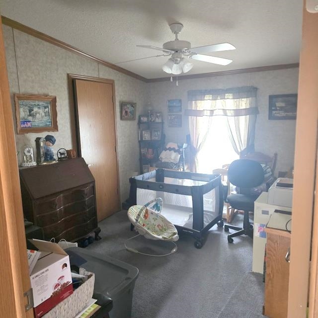 30 Hollow View Drive Property Photo 9