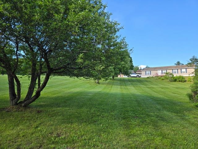 30 Hollow View Drive Property Photo 21