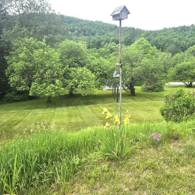 30 Hollow View Drive Property Photo 23