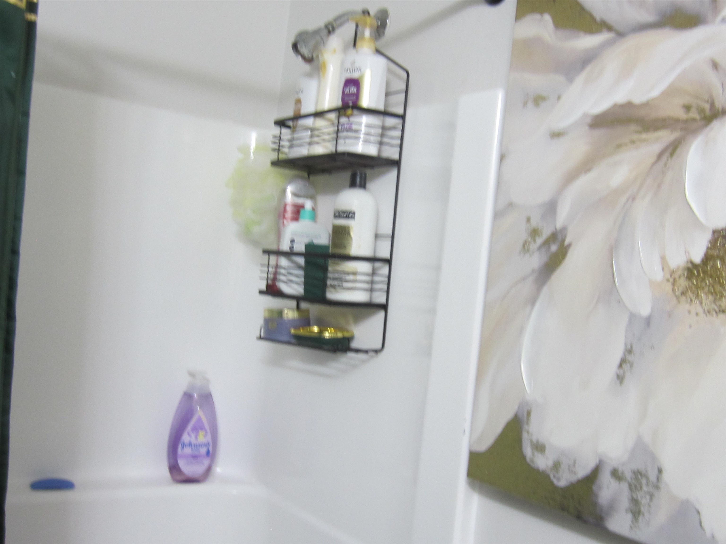 55 Log Street Property Photo 17