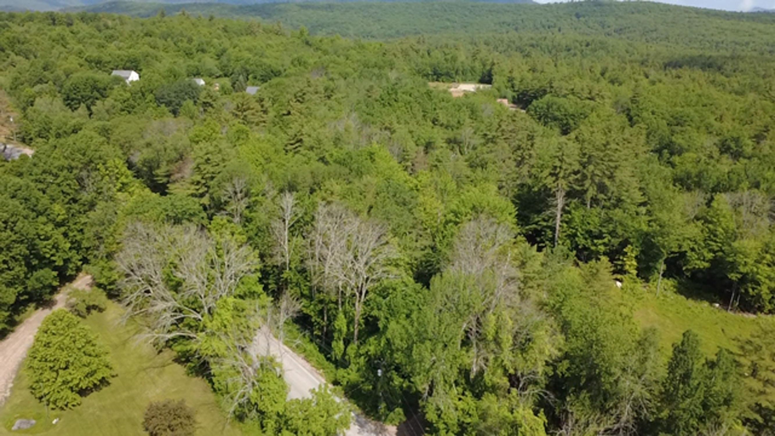 5 Brian Road Property Photo 1