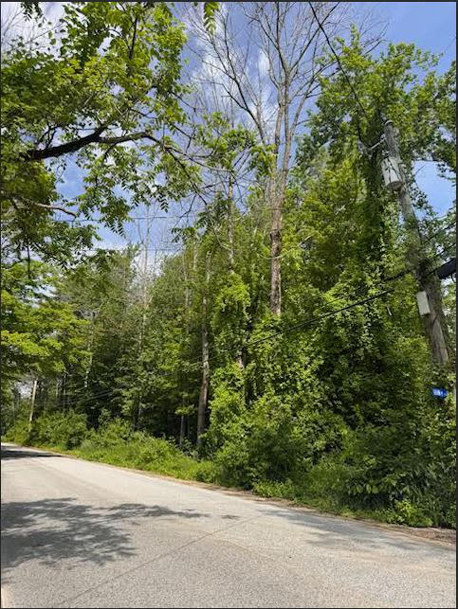 5 Brian Road Property Photo 4