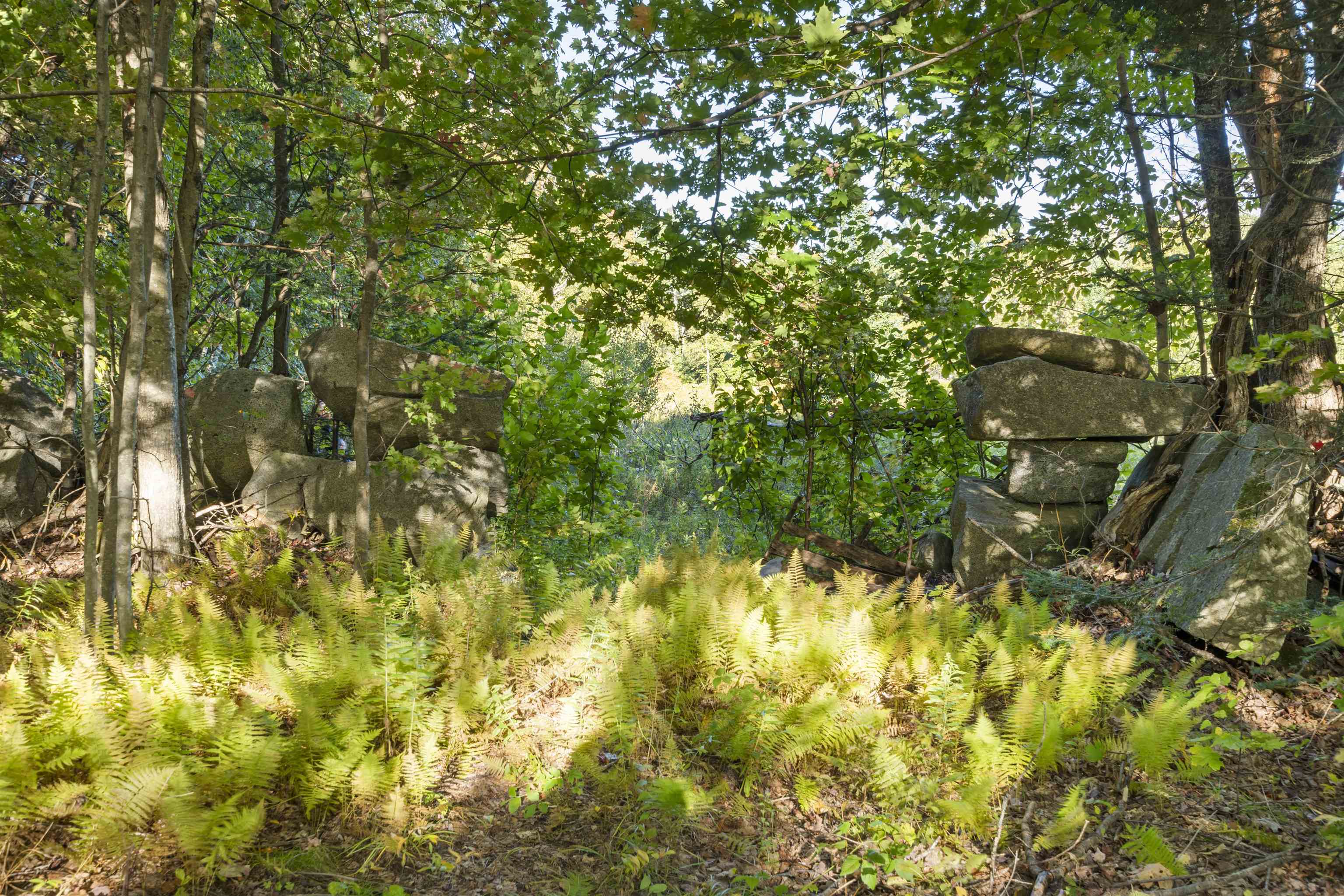 91 Venheim Road Property Photo 27