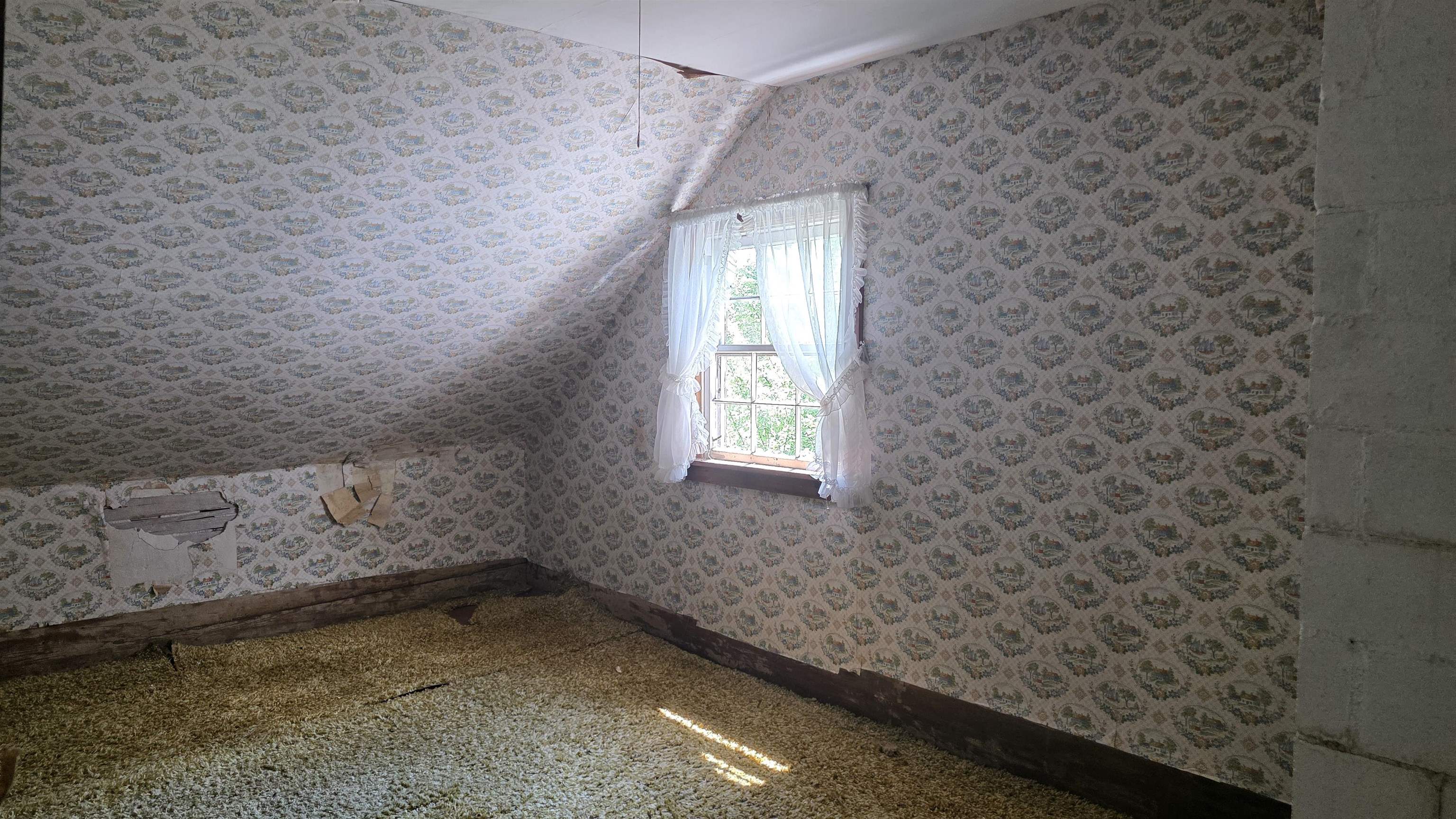 91 Venheim Road Property Photo 33