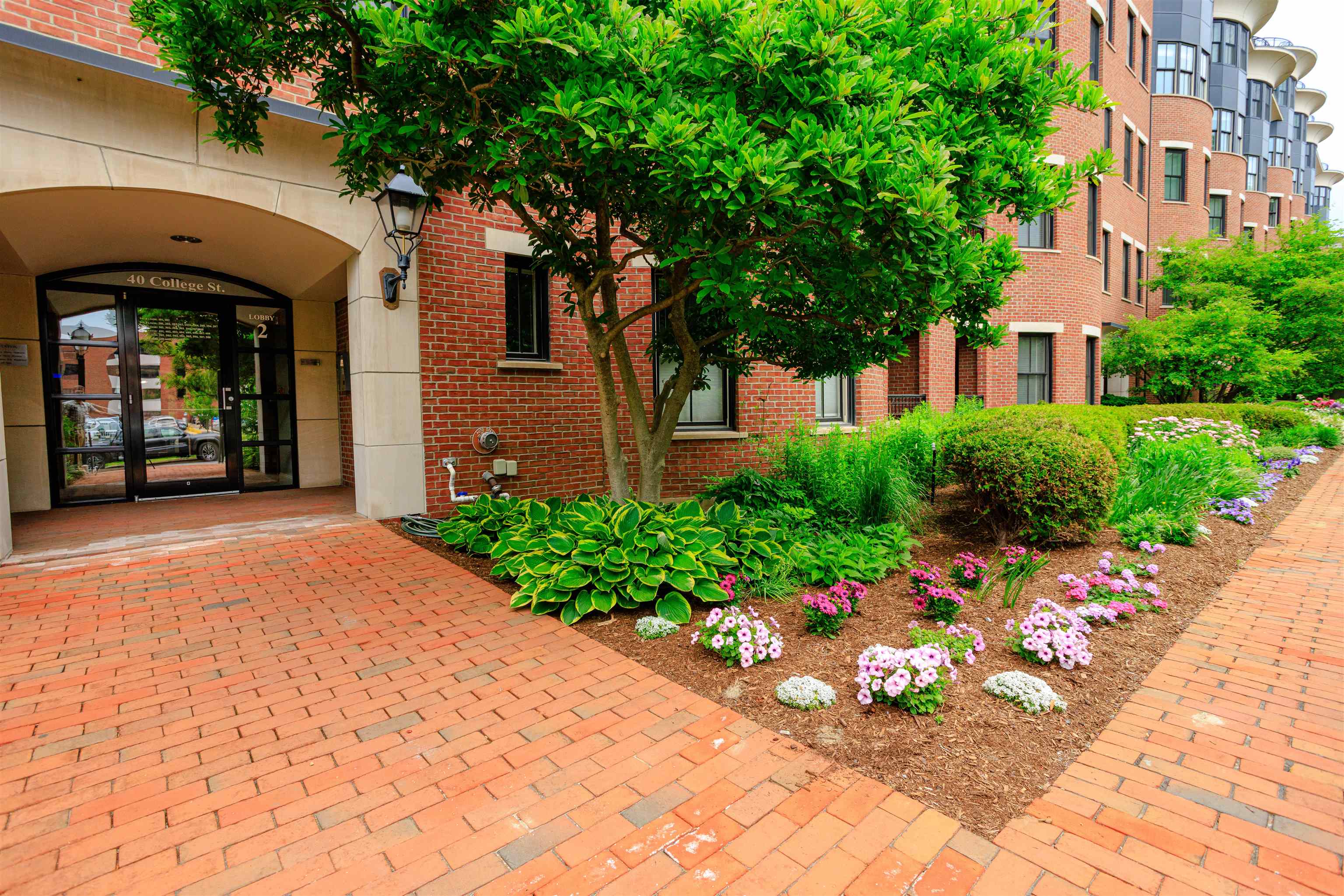 40 College Street Property Photo 24