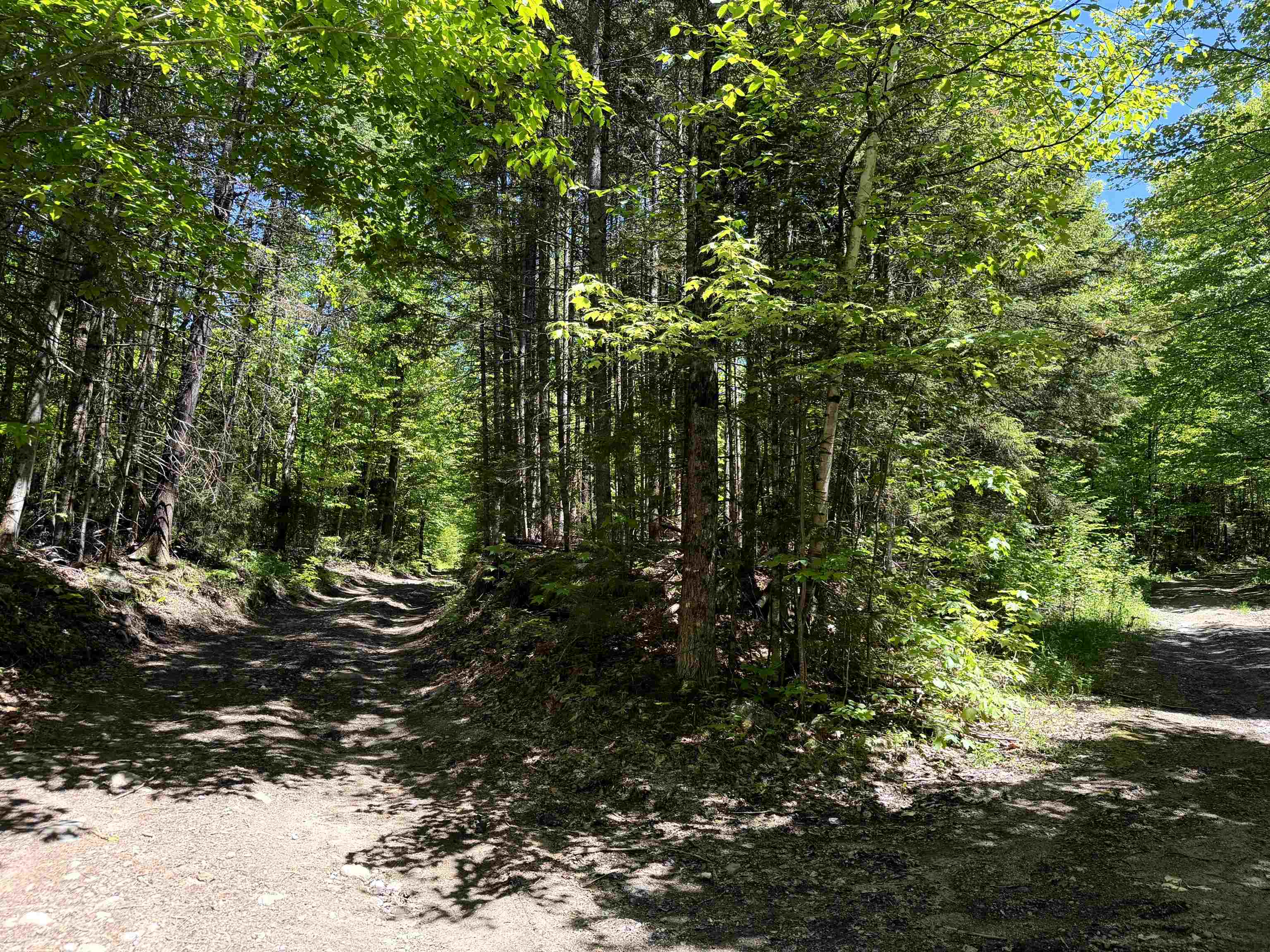 0 Georges Boulevard Property Photo 12