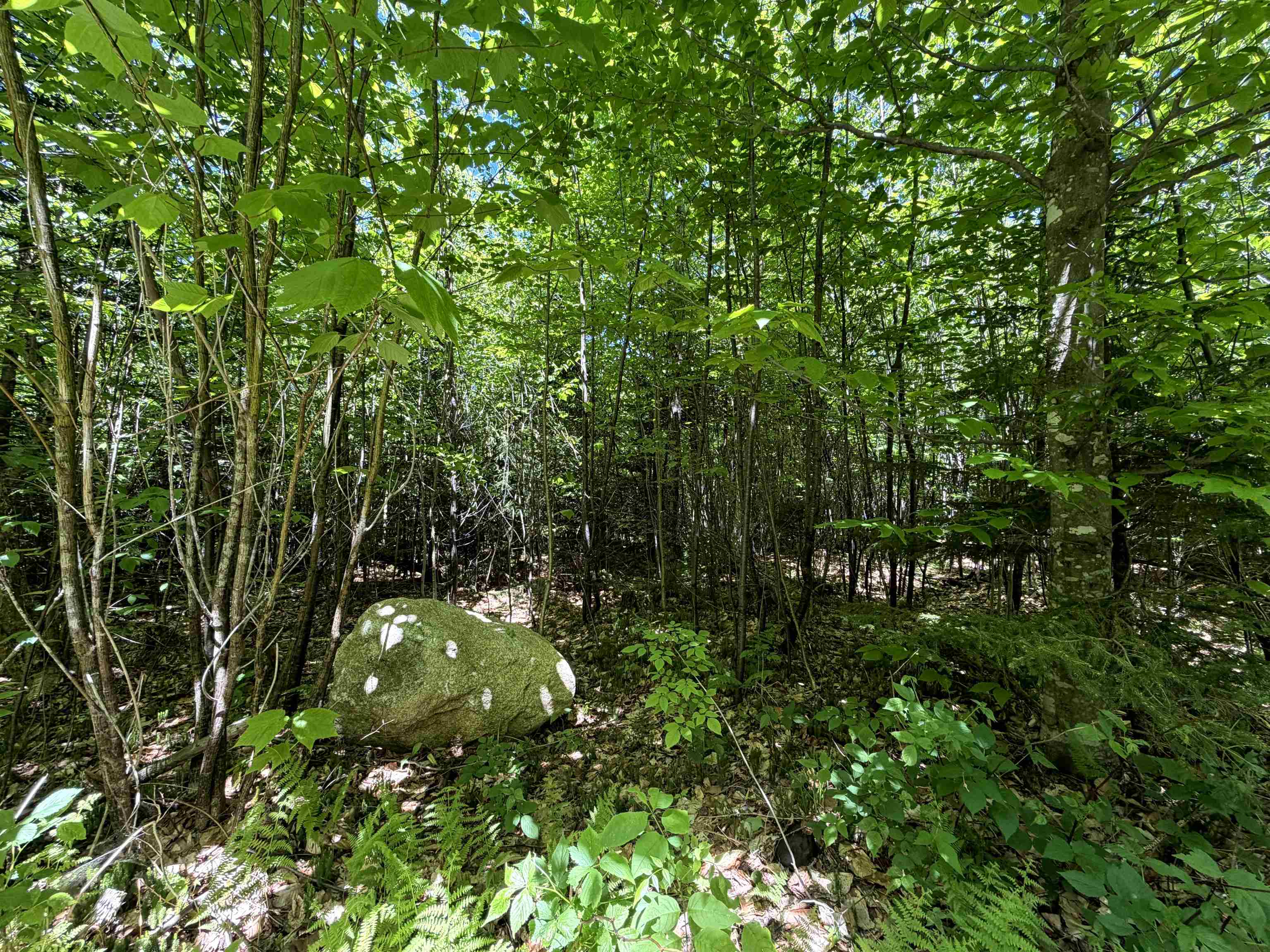 0 Georges Boulevard Property Photo 16