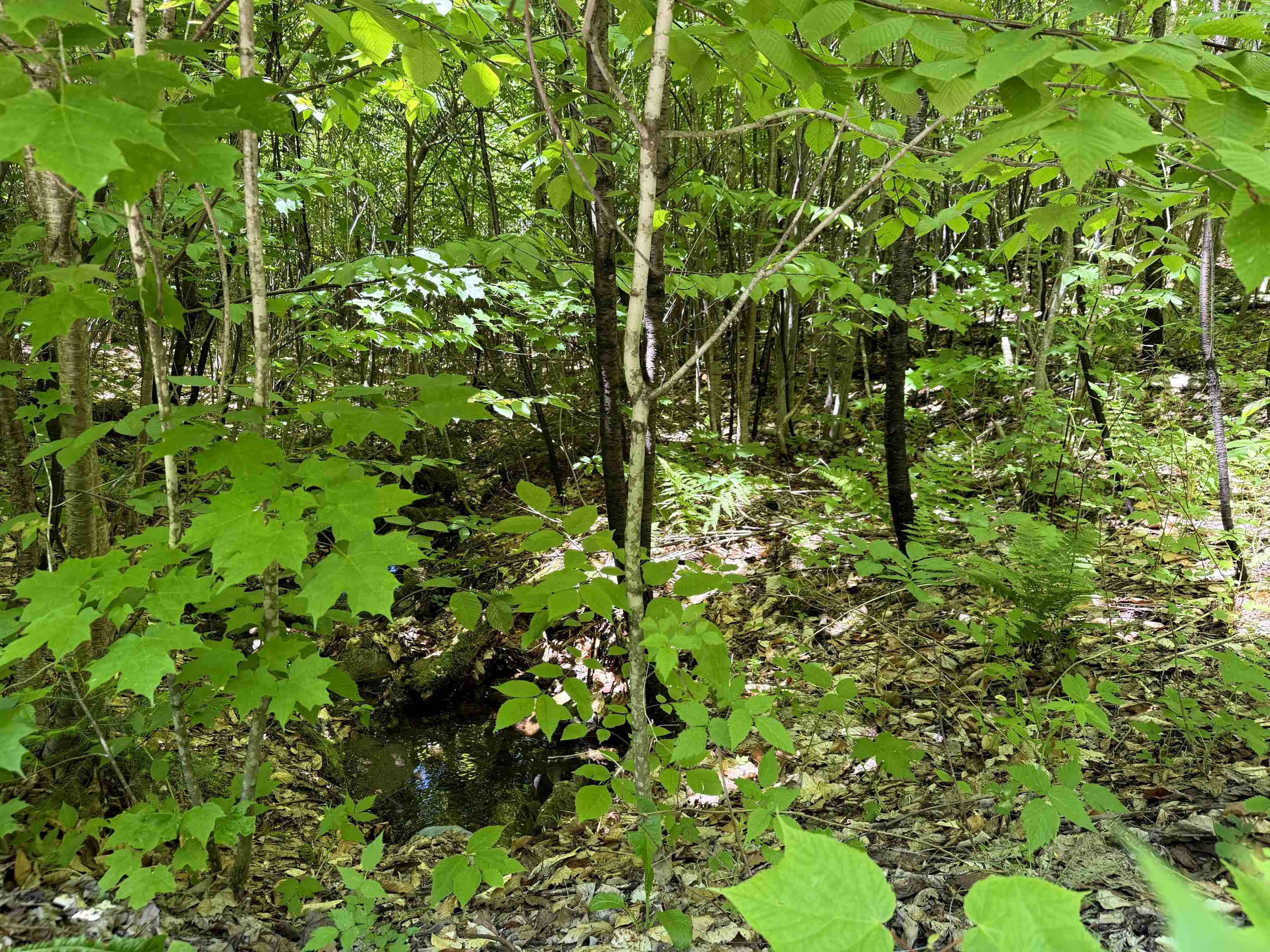 0 Georges Boulevard Property Photo 24