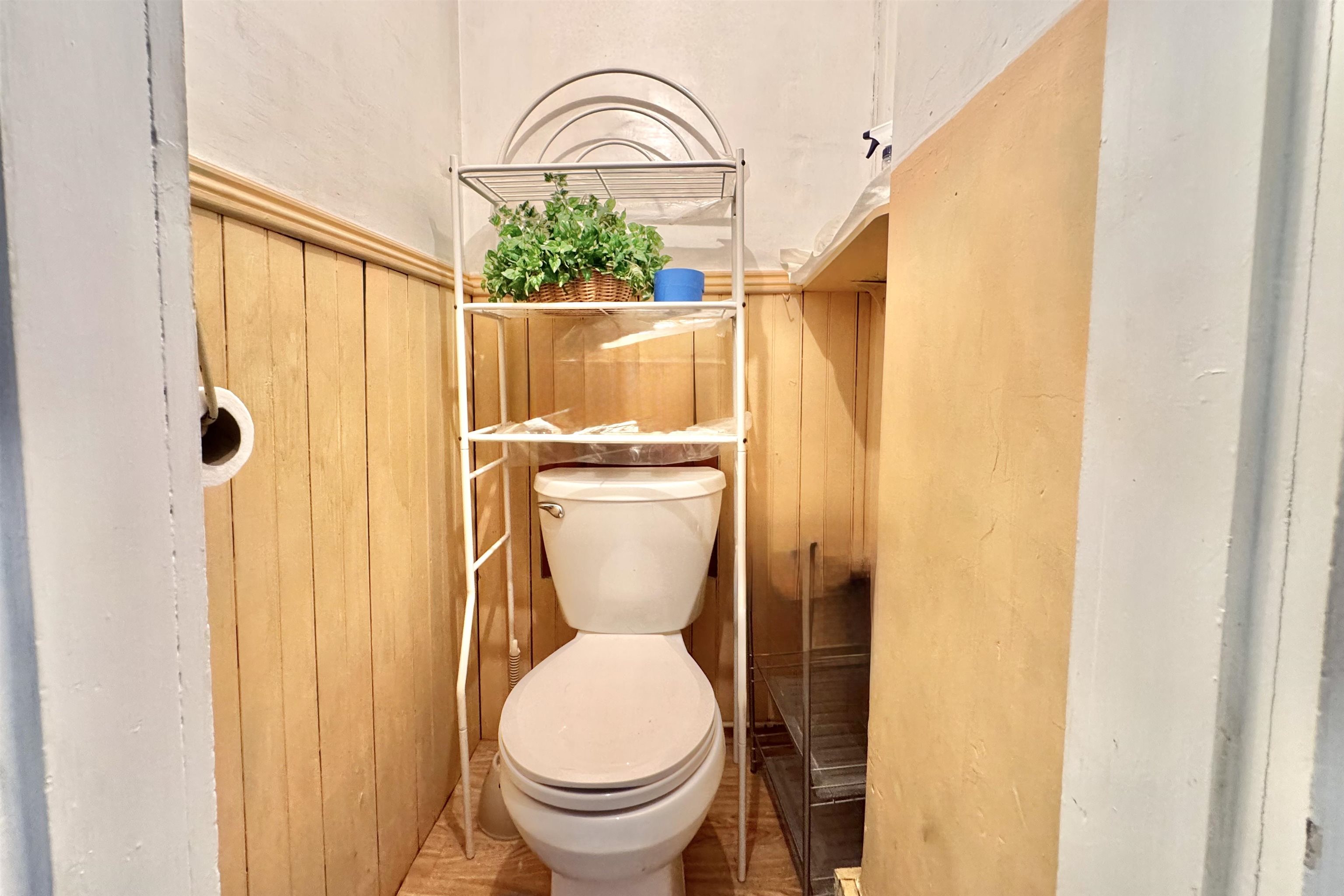 39 Chestnut Street Property Photo 38