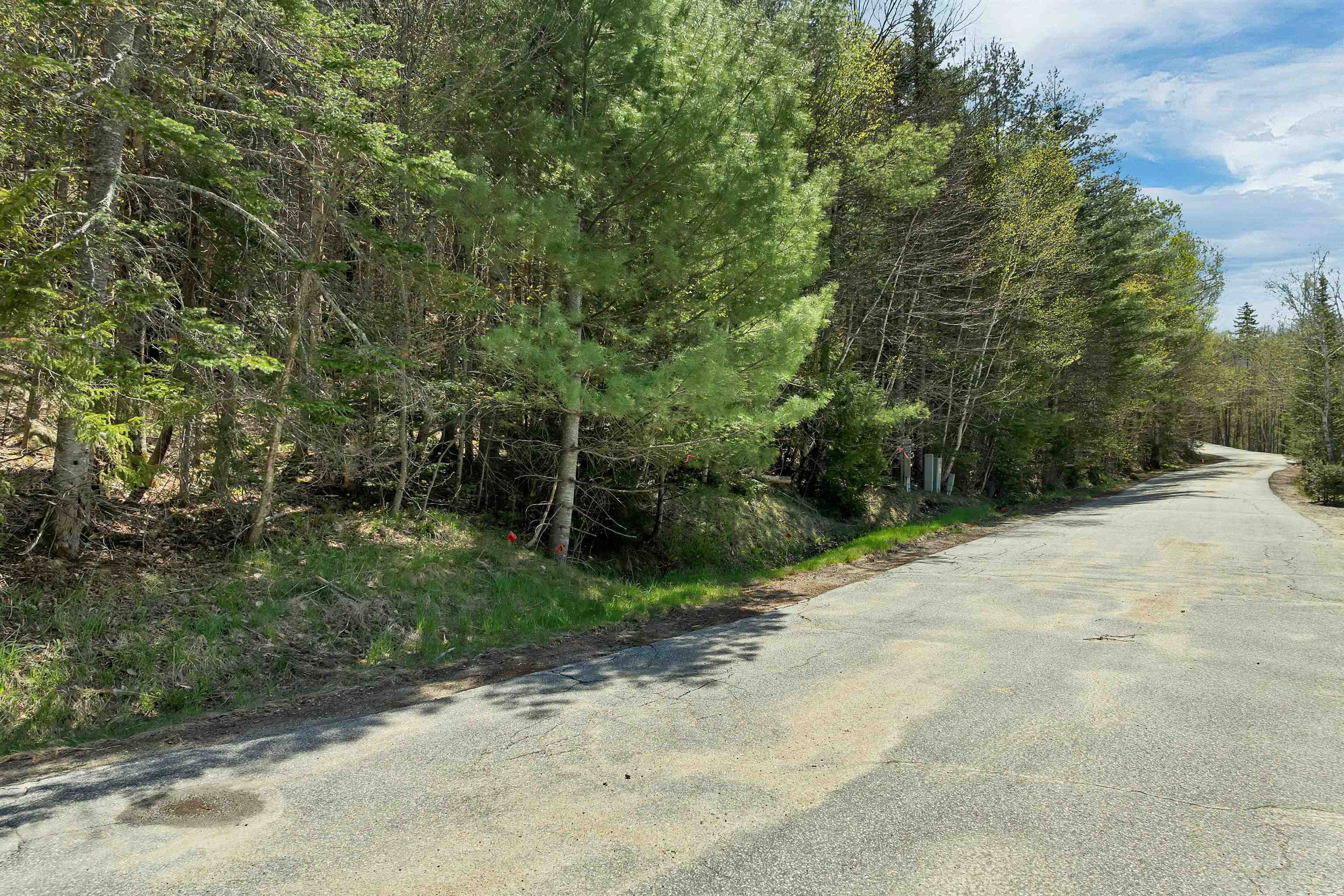 109 Snows Mountain Road Property Photo 6