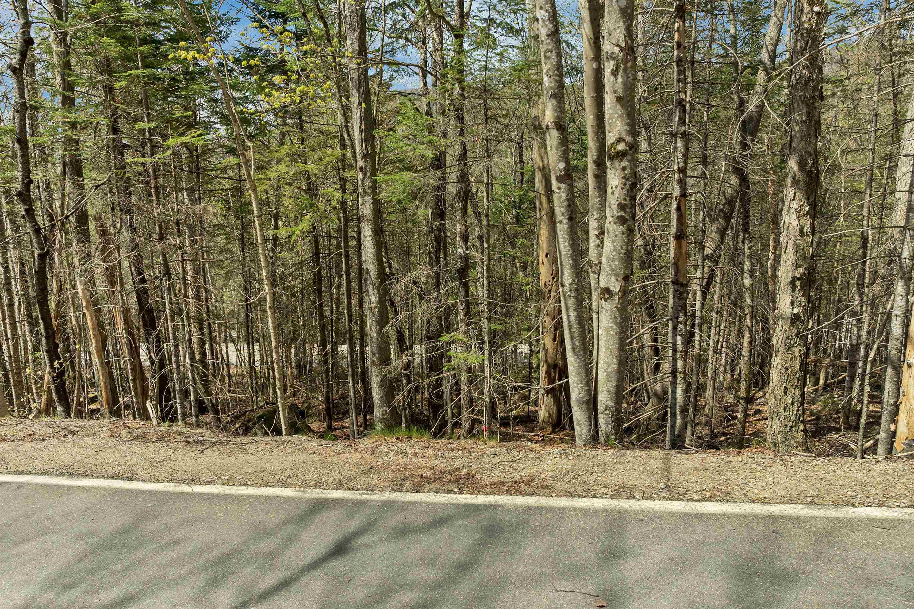 109 Snows Mountain Road Property Photo 17