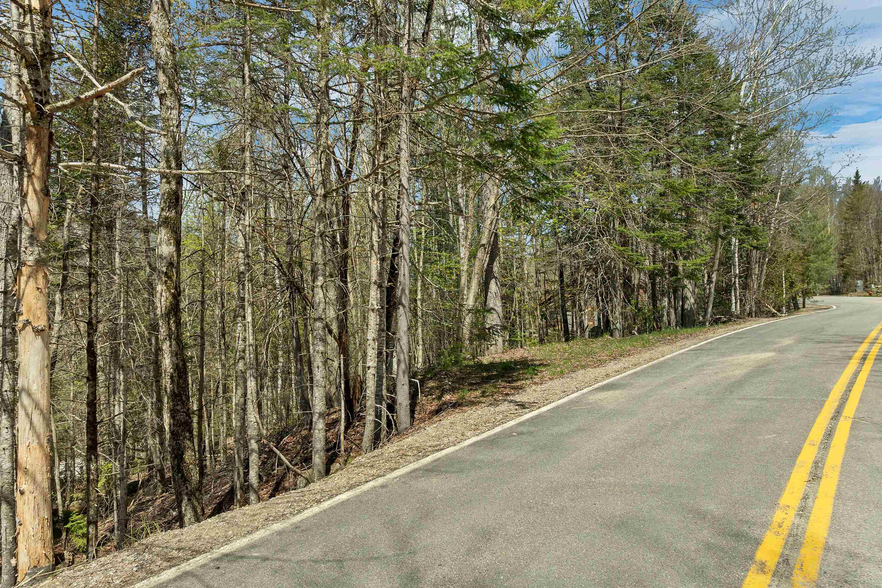 109 Snows Mountain Road Property Photo 18