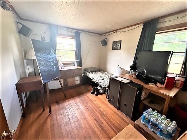15 Evans Road Property Photo 13