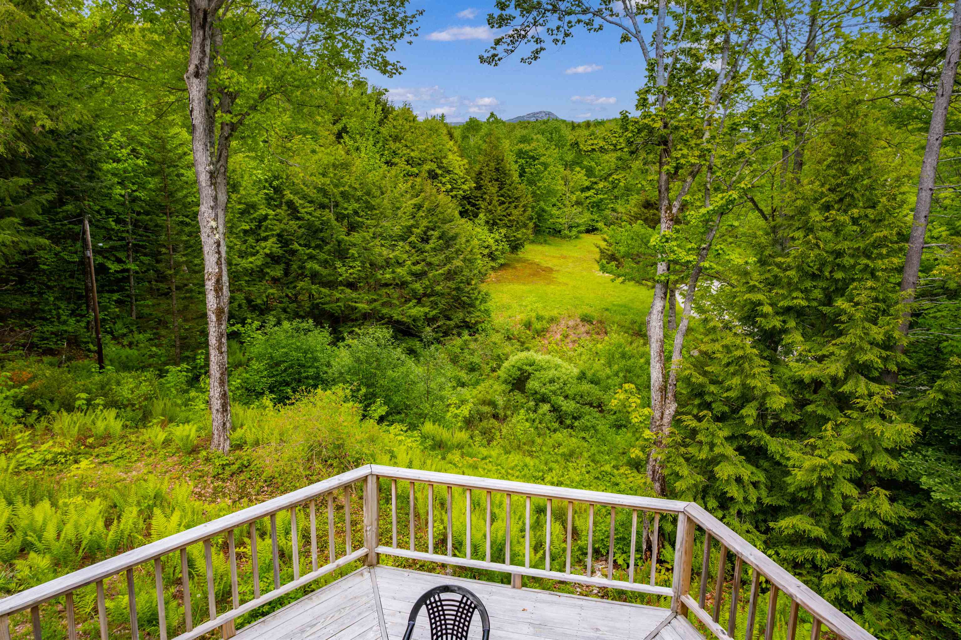 269 Knowles Hill Road Property Photo 47