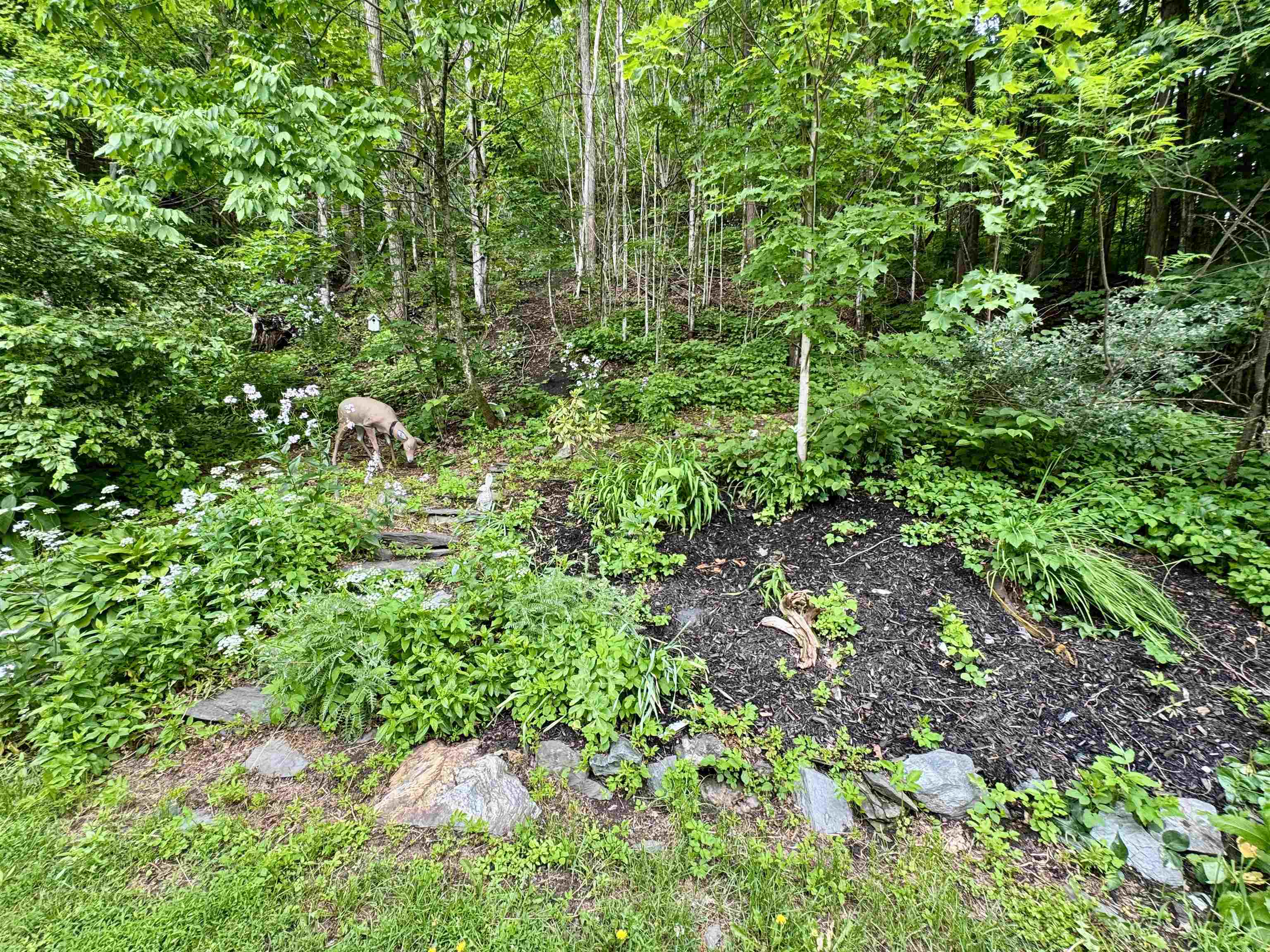 11 Water Street Property Photo 44