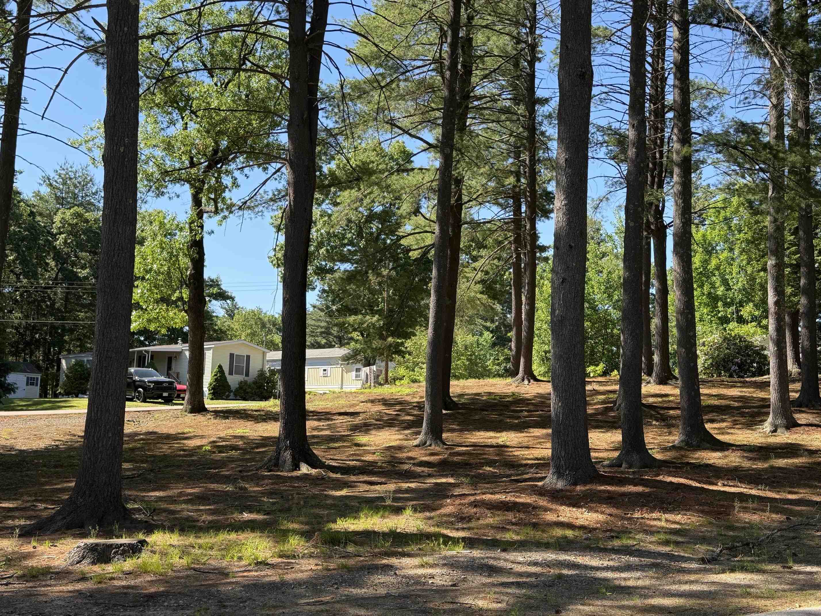 6 Hidden Trail Property Photo 21
