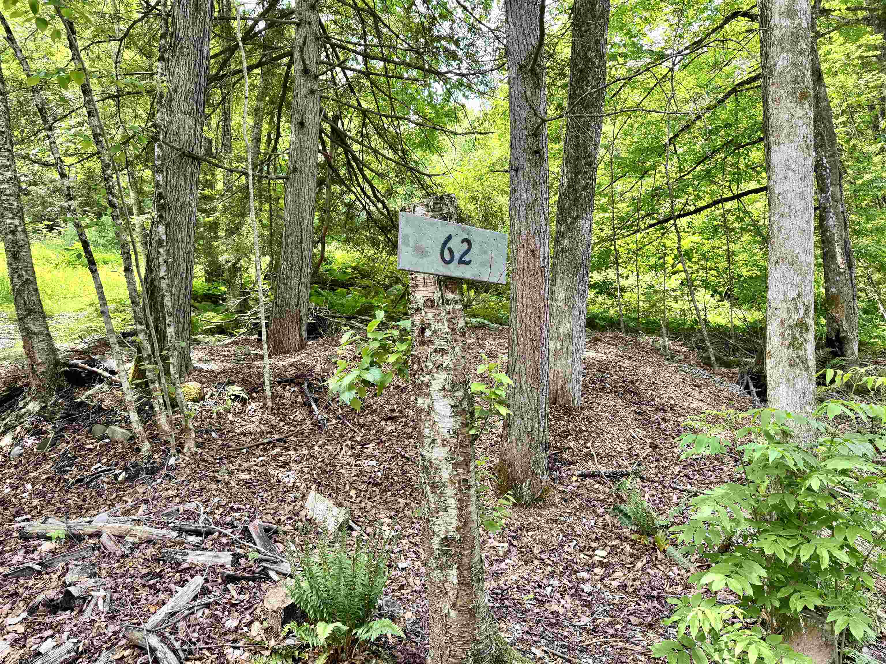 62 Foundry Road Property Photo 1