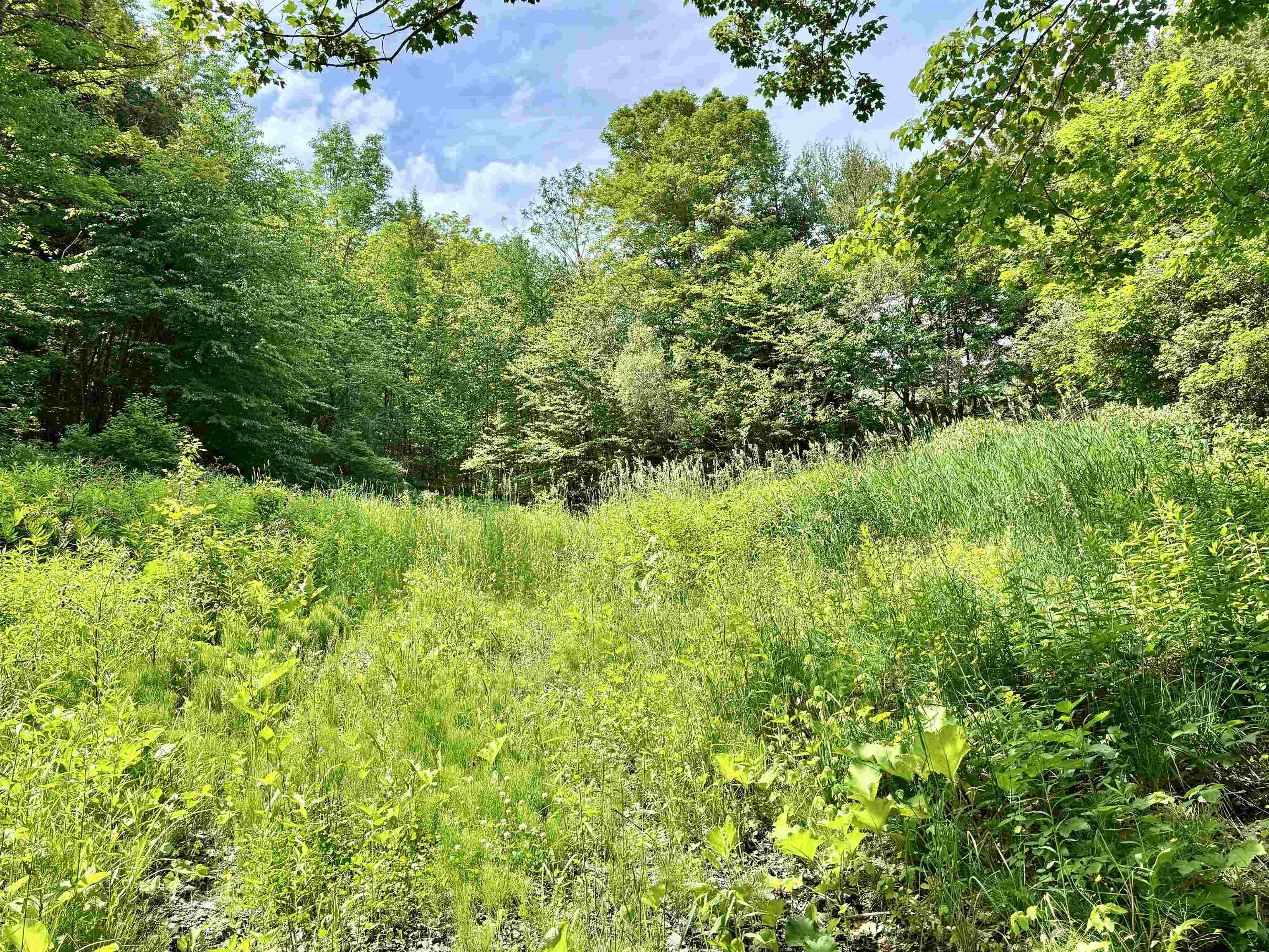 62 Foundry Road Property Photo 3