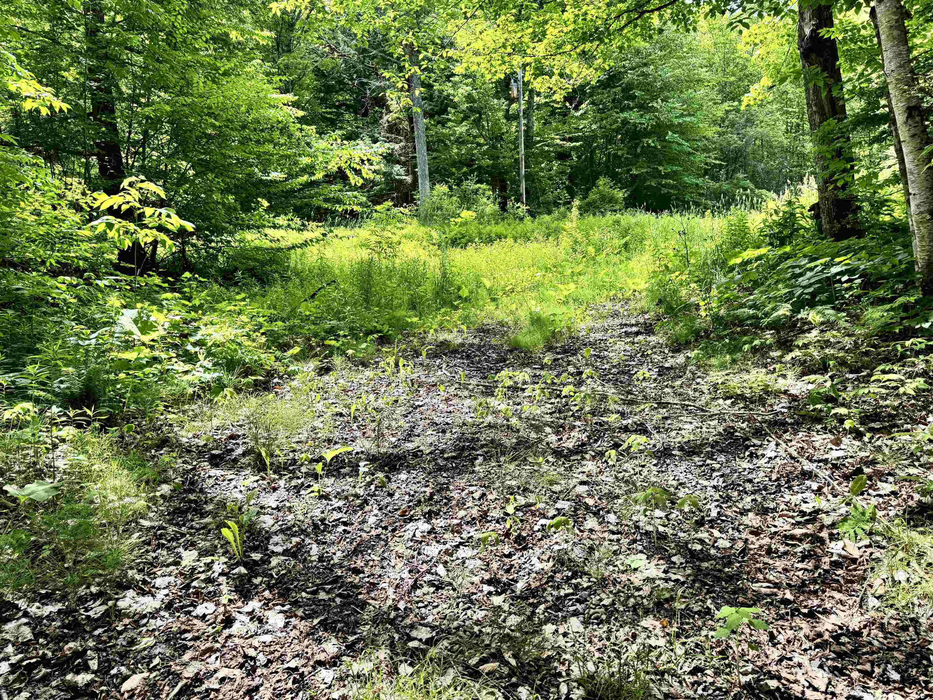 62 Foundry Road Property Photo 8