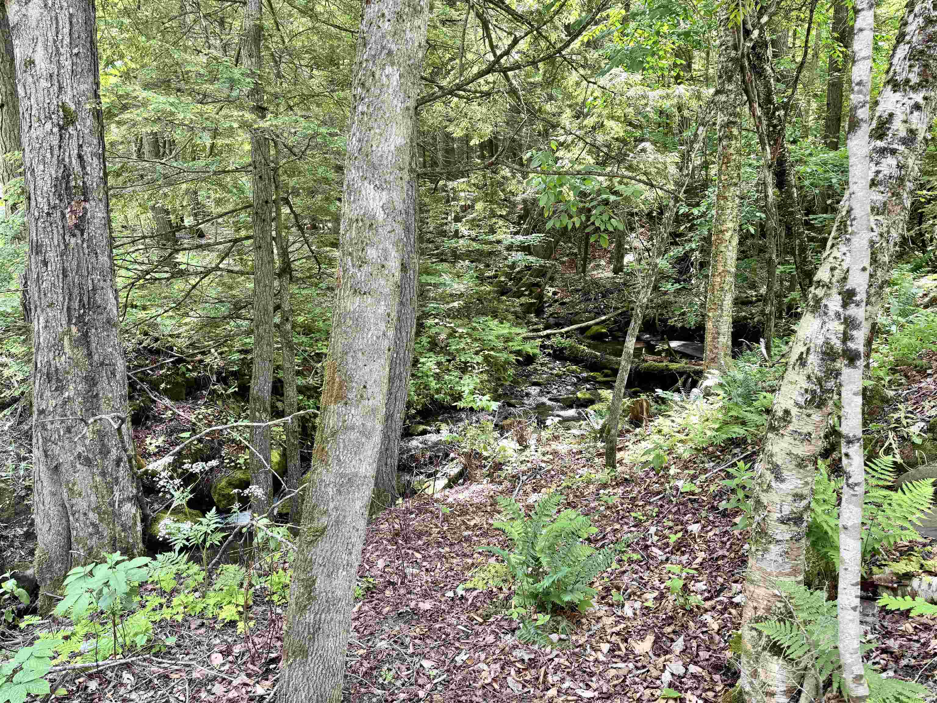 62 Foundry Road Property Photo 10