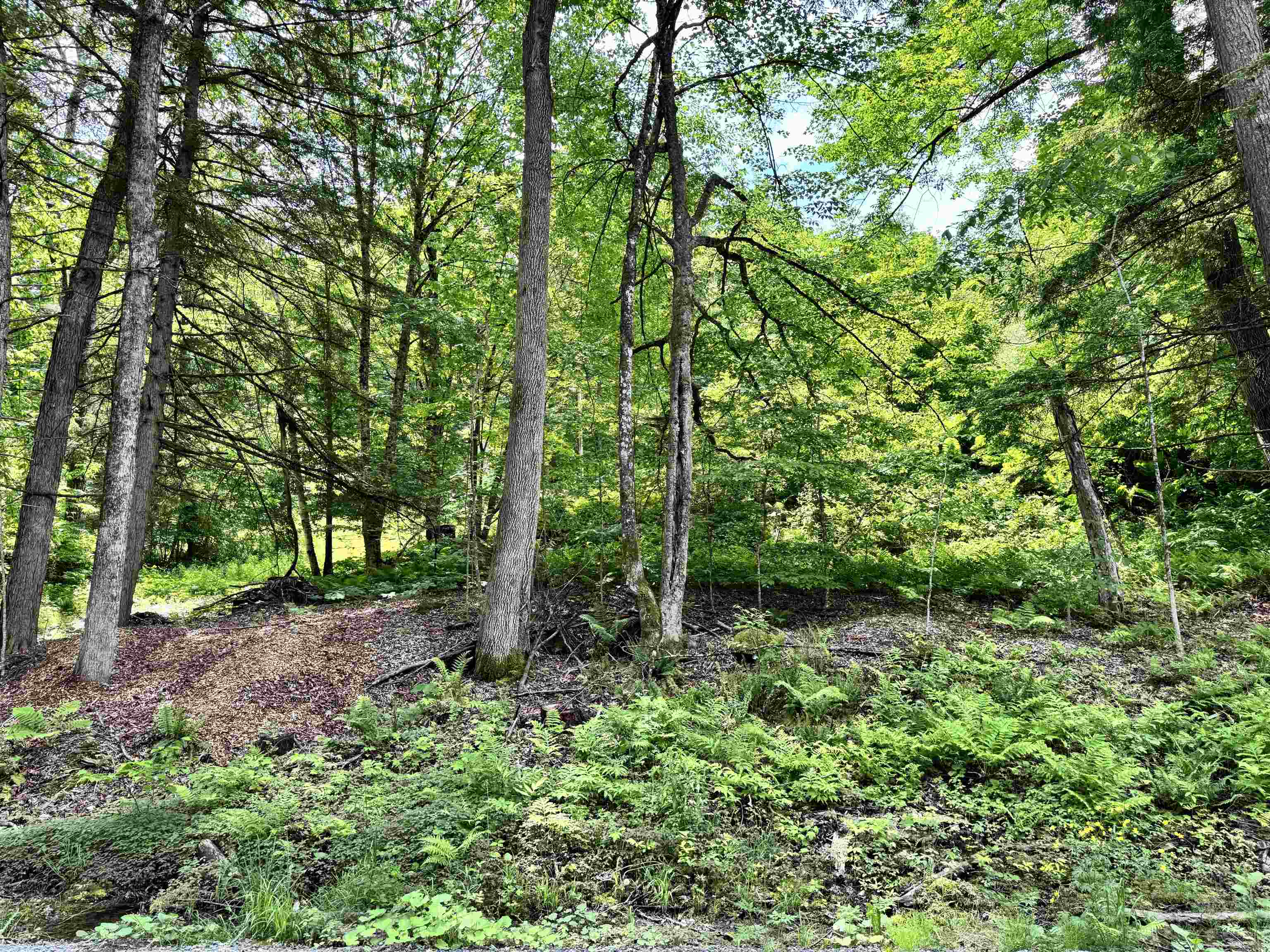 62 Foundry Road Property Photo 11
