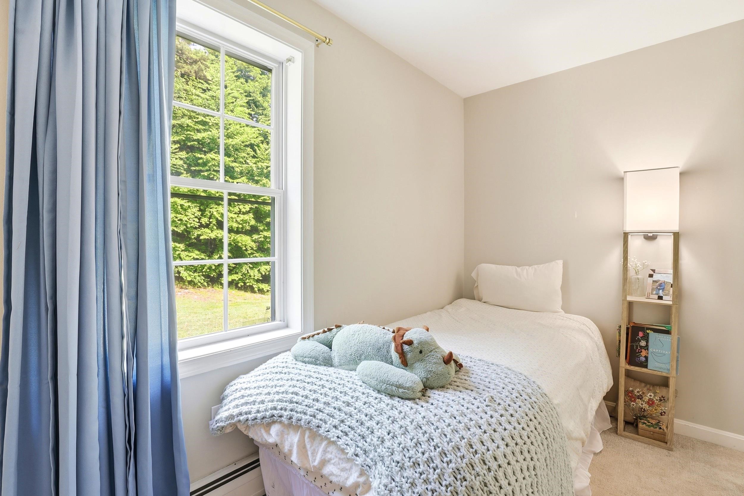 19 Meadow Lark Lane Property Photo 16