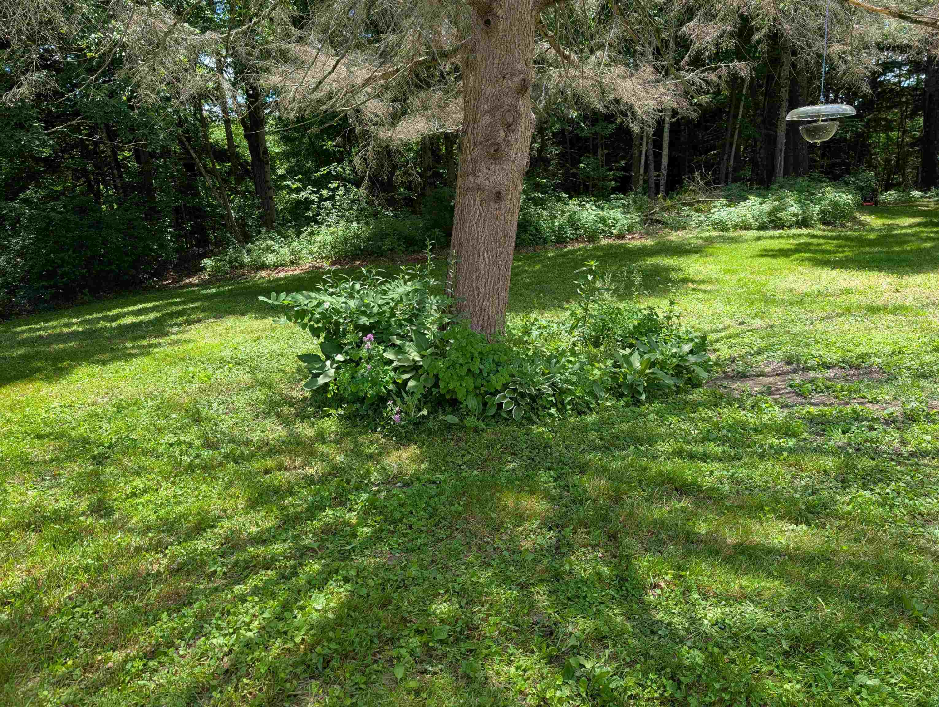 315 Route 4a W Property Photo 50