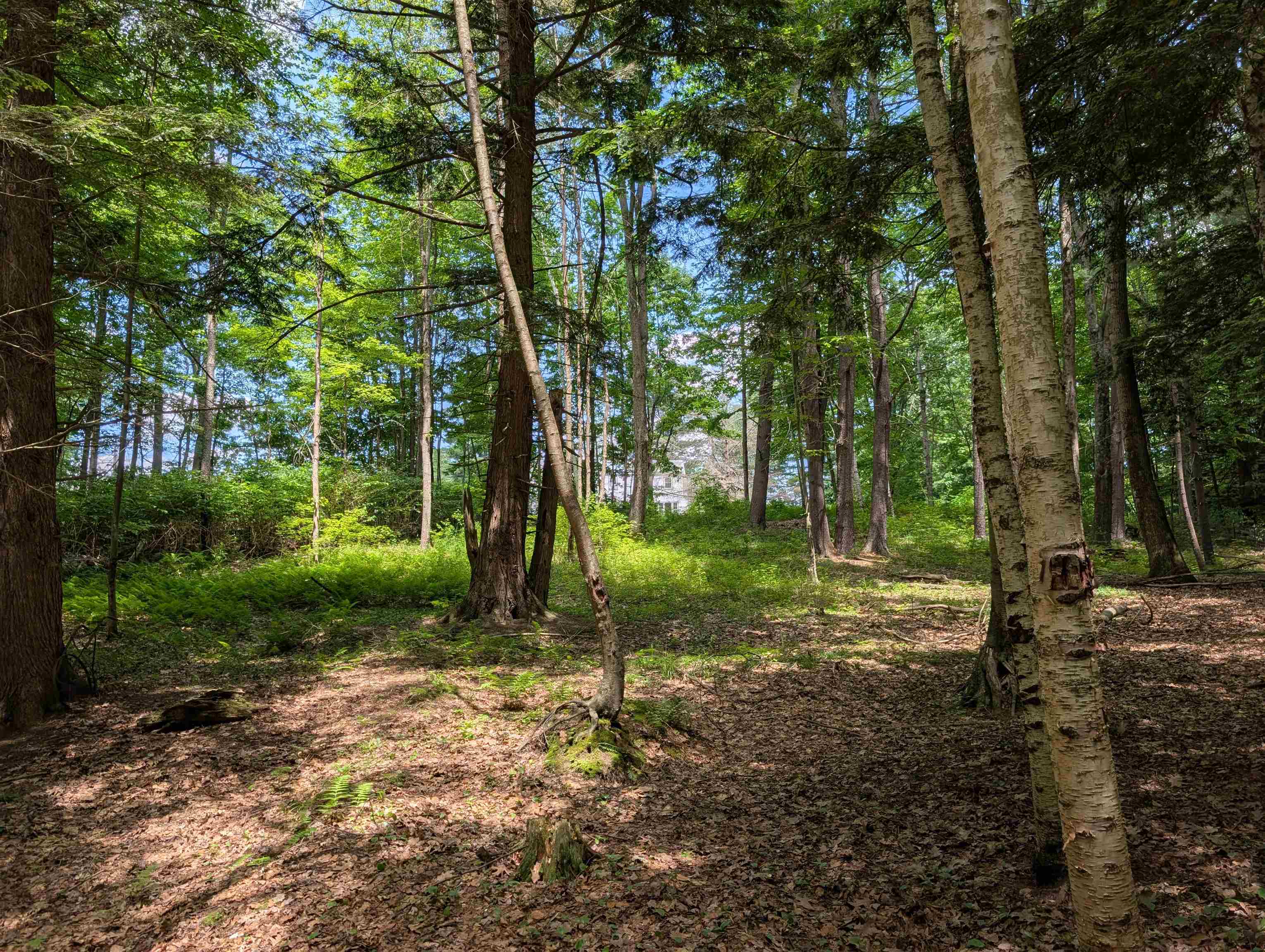 315 Route 4a W Property Photo 53