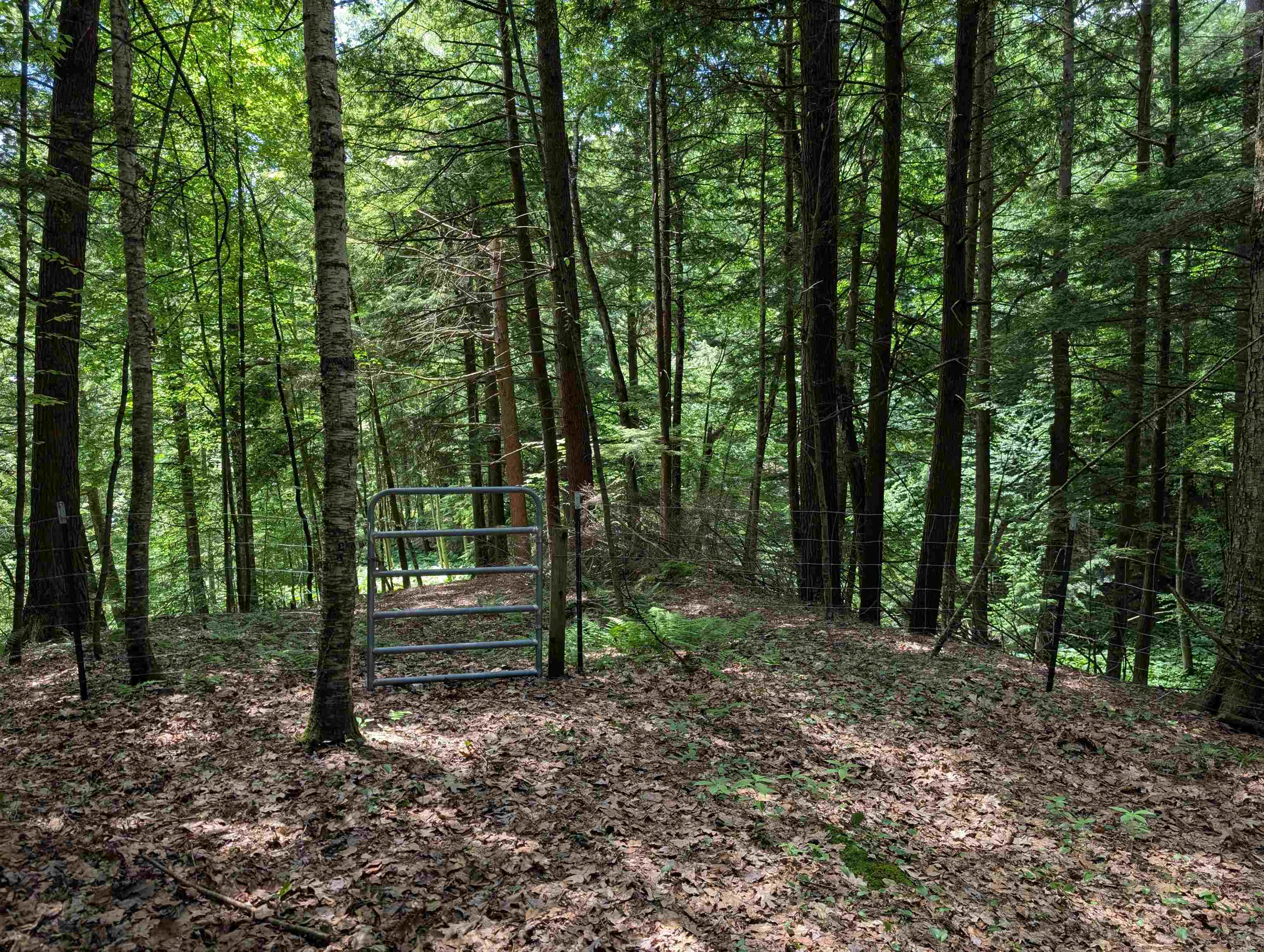 315 Route 4a W Property Photo 54
