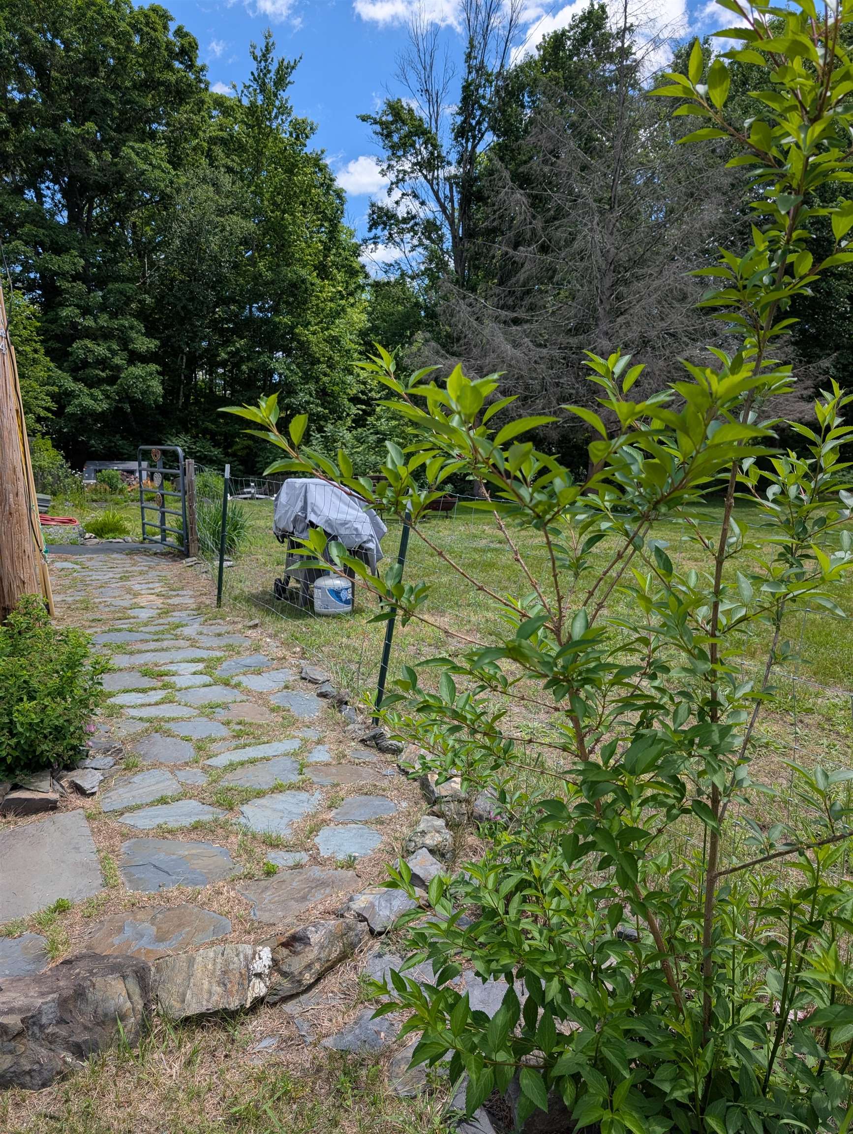 315 Route 4a W Property Photo 55