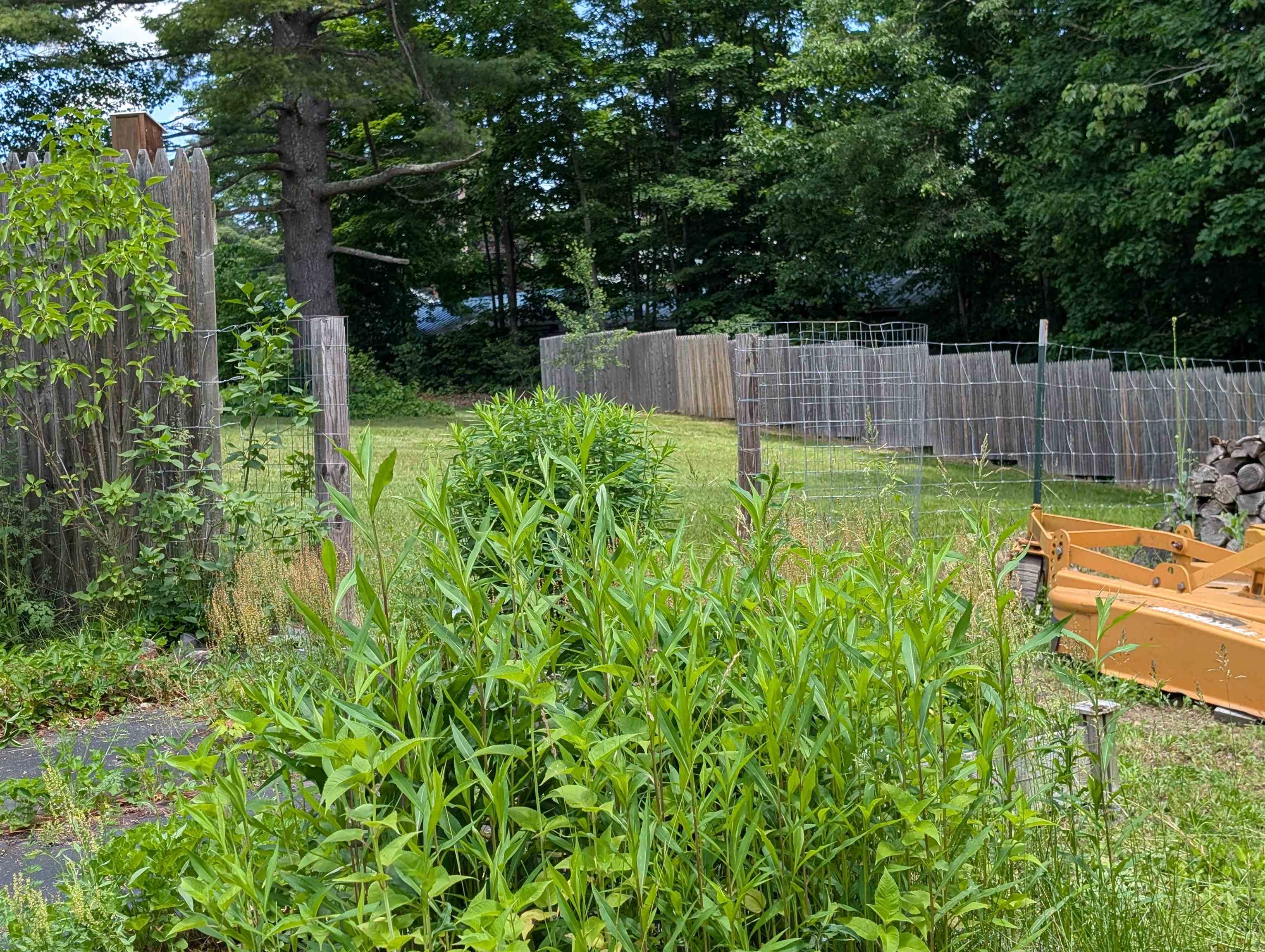 315 Route 4a W Property Photo 57